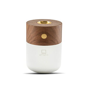 最大100%ポイントバック!※条件あり アロマディフューザー 水なし エッセンシャル アロマポット コードレス オイル 精油 フレグランス ライト 卓上 照明 小型 寝室 インテリア 調光 GINGKO ギ