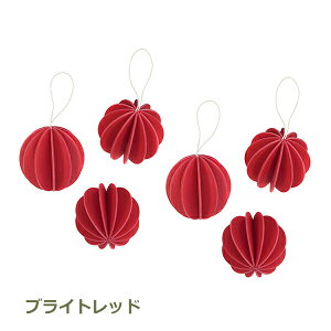 ő100%|CgobNI NX}X  I[ig Zbg k CeA ؐ  Vv c[ lovi {[ 4cm 6 Mtg v[gIuWF bh i`