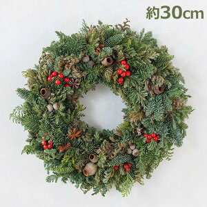 150~ItN[|y撅pzNX}X [X 30cm ~̖ [X  k   i` tbV ǖ   ̒ O Vv Ԃ ԎdY