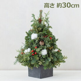 最大1000円OFFクーポン&100%ポイントバック クリスマス ツリー 30cm 卓上 ミニ 生ツリー おしゃれ かわいい モミの木 北欧 卓上 手作り 本物 日本製 小さい 玄関 部屋の中 外 コニファー 花仕事屋ラムズ 送料無料 ドライフラワー 自然 材料 インテリア ナチュラル シンプル