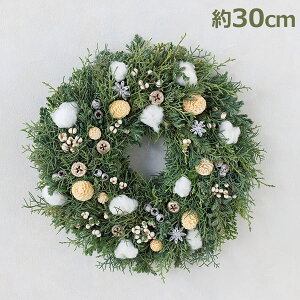 150~ItN[|y撅pzNX}X [X 30cm zCg ~̖ [X  k    VR ǖ  CeA tbV Rf  { Ԏd