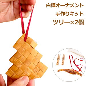 ő700~OFFN[|y撅pz Lbg NX}X I[ig c[ k 2 Zbg  l[xXCh G CeA ؐ  ȒP S  VR   H H