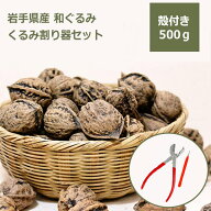 エントリーでポイント5倍 和くるみ 国産 殻付き 500g 鬼胡桃 オニグルミ くるみ割り器 ほじくるみん セッ…
