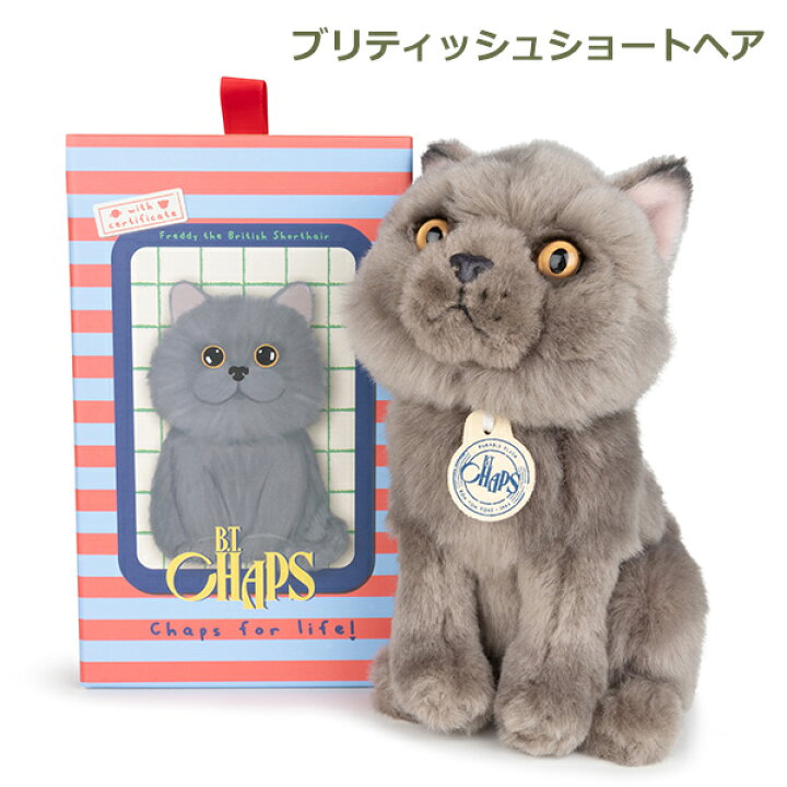 楽天市場】ぬいぐるみ 猫 犬 ギフト ボックス リアル 小さい Sサイズ 