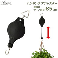 ハンギング アジャスター 昇降式 プラントハンガー フック 高さ調節 吊り下げ調整 85cm 耐荷重10kg 観葉…
