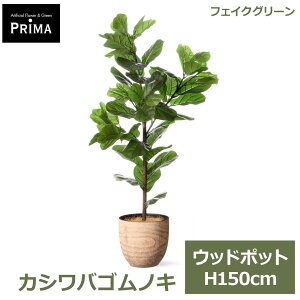 �G���g���[�Ń|�C���g5�{&2%OFF�N�[�|�� �t�F�C�N�O���[�� �ϗt�A�� �l�H�ϗt�A�� ���� �J�V���o�S���m�L �E�b�h�|�b�g H150cm �A�� ��^ ���t�� �v�����^�[�t�� �ؖ� �t�F�C�N PRGR-1714 GREENPARK 