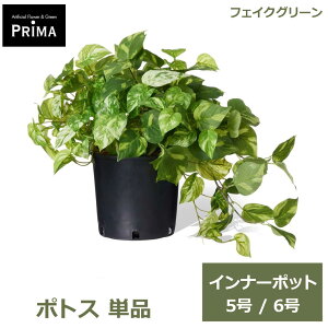 �t�F�C�N�O���[�� �ϗt�A�� �l�H�ϗt�A�� �|�g�X �C���i�[�|�b�g H40cm 5�� 6�� �P�i ���ɃZ�b�g���邾�� �O���[�� �����s�v �A�� �t �l�C PRGR-01P GREENPARK �������� �A�����W �C���e���A �A��