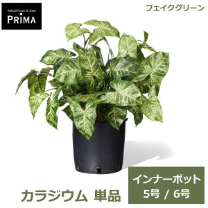 �t�F�C�N�O���[�� �ϗt�A�� �l�H�ϗt�A�� �J���W�E�� �C���i�[�|�b�g H48cm 5�� 6�� �P�i ���ɃZ�b�g���邾�� �O���[�� �����s�v �A�� �t PRGR-04P GREENPARK �������� �l�C �A�����W �C���e���A 