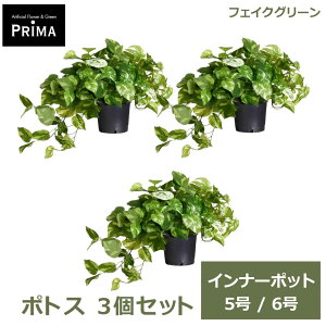 �t�F�C�N�O���[�� �ϗt�A�� �l�H�ϗt�A�� �|�g�X �C���i�[�|�b�g 3�� �Z�b�g H40cm 5�� 6�� ���ɃZ�b�g���邾�� �O���[�� �A�� �t PRGR-1423-01P GREENPARK �������� �����s�v �l�C �A�����W �C���e