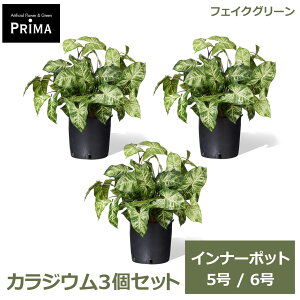 �t�F�C�N�O���[�� �ϗt�A�� �l�H�ϗt�A�� �J���W�E�� �C���i�[�|�b�g 3�Z�b�g H48cm 5�� 6�� ���ɃZ�b�g���邾�� �O���[�� �A�� �t PRGR-1423-04P GREENPARK �������� �����s�v �l�C �A�����W �C��