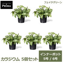 楽天市場】フェイクグリーン まとめ買いの通販