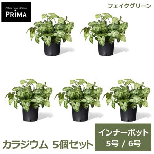 �t�F�C�N�O���[�� �ϗt�A�� �l�H�ϗt�A�� �J���W�E�� �C���i�[�|�b�g 5�Z�b�g H40cm 5�� 6�� ���ɃZ�b�g���邾�� �A�� �܂Ƃߔ��� PRGR-1433-04P GREENPARK �������� ��� �t �O���[�� �����s�v �l