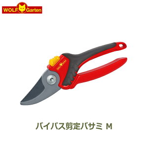 ő700~OFFN[|y撅pz ΂ o v  nT~  | K[fjO ObY ؂  G E  Ή }؂ oCpX M EtKe WOLF Garten RR-2500 