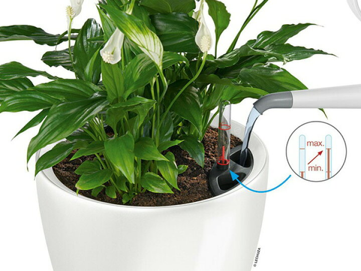 楽天市場】植木鉢 プランター おしゃれ ガーデニング雑貨 鉢 