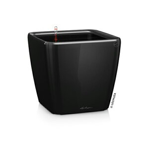 ő100%|CgobNI Aؔ v^[  K[fjOG  `[U ^ NAhEW[J[ 43 i @\  ȒP Vv  QUADRO JOKER LE-2043AJ 