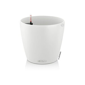 ő1000~OFFN[|&100%|CgobN Aؔ v^[  K[fjOG  `[U GRm~[ Eh 28 ό UVH i A  Vv vX`bN ROUND L