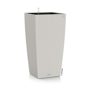 ő1000~OFFN[|&100%|CgobN Aؔ v^[  K[fjOG  `[U GRm~[ Re[W 30 COTTAGE ό UVH i  _ vX`bN LE-6030 