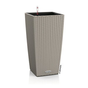 ő1000~OFFN[|&100%|CgobN Aؔ v^[  K[fjOG  `[U GRm~[ Re[W 30 COTTAGE ό UVH i  _ vX`bN LE-6030 