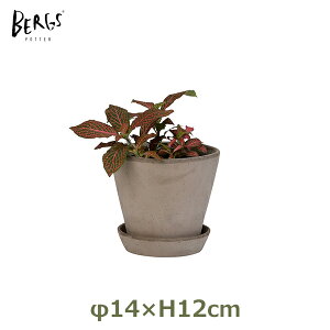 ő100%|CgobNI Aؔ 5 a14cm [12cm 󂯎M Zbg ی^  킢 eRb^  A |bg ꌊ K[fjO  x_ o[OX W