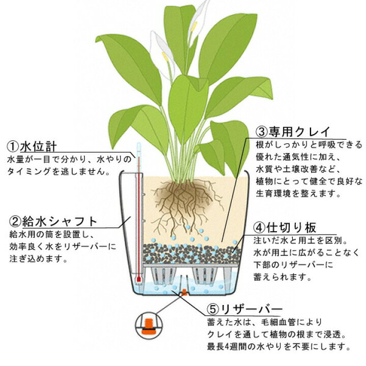 楽天市場】【最大100%ポイントバック！※条件あり】レチューザ 