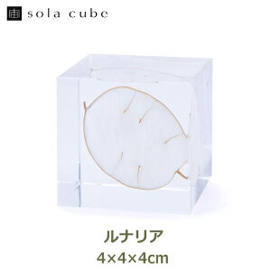 �W�{ ���� �A�N���� �� �}�� �h���C�t�����[ �C���e���A sora cube �� �L���[�u ���i���A �M�t�g �v���[���g�a���� �N���X�}�X �j�� ���� ���n �G�� �������� ���b�s���O�Ή� ���� �͂�Ȃ� ���