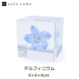 標本 立体 花 図鑑 ドライフラワー インテリア sora cube 宙 キューブ デルフィニウム ギフト プレゼント誕生日 クリスマス 男性 女性 理系 雑貨 草木 枯れない 母の日 おすすめ オブジェ 置物 シンプル ナチュラ 送料無料