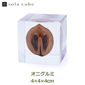 �ő�1000�~OFF�N�[�|��&100%�|�C���g�o�b�N �W�{ ���� �A�N���� �� �}�� �h���C�t�����[ �C���e���A �G�� sora cube �� �L���[�u �I�j�O���~ �S�ӓ� �M�t�g �v���[���g�a���� �N���X�}�X �j�� ���� 