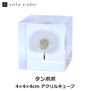 150~ItN[|y撅pz^|| 4cm Sola cube  \L[u ETMmlhR  CeA ̕W{  A  NA v[g  j bsO Mtg  t