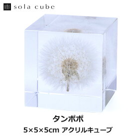 楽天市場 Sola Cube タンポポの通販