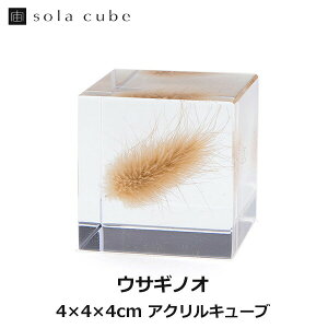 150~ItN[|y撅pzETMmI Sola cube  \L[u ETMmlhR  CeA  A v[g bsOΉ Mtg  ETM u  