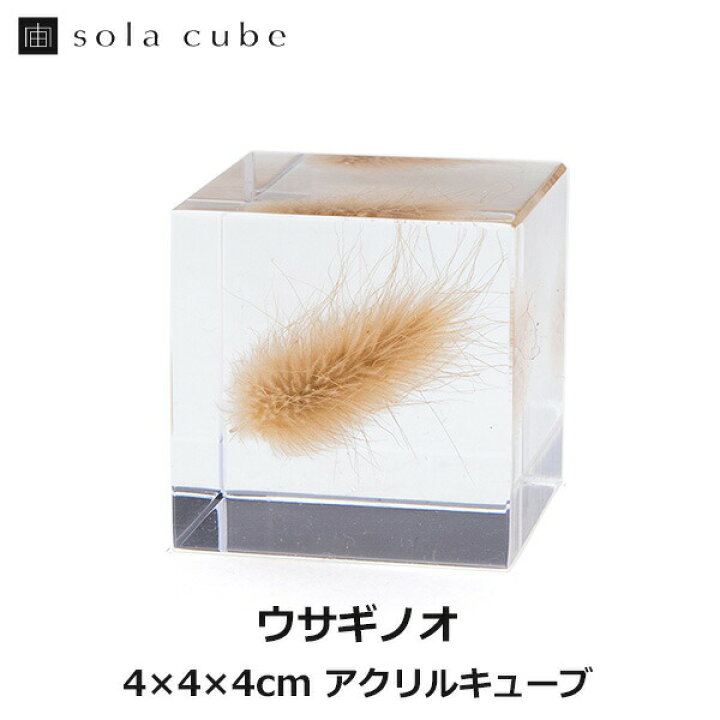 楽天市場】ウサギノオ Sola cube 宙 ソラキューブ ウサギノネドコ  