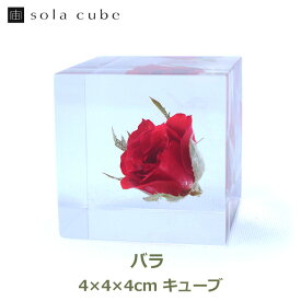 バラ 4cm Sola cube 宙 ソラキューブ ウサギノネドコ 薔薇 ローズ 花 赤 インテリア プレゼント ギフト 祝い クリア 透明 おしゃれ 立体標本 モダン アート 小物 オブジェ 母の日 立体標本 モダン アート 小物 オブジェ 母