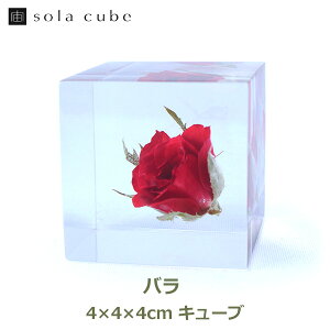 ő100%|CgobNI o 4cm Sola cube  \L[u ETMmlhR KN [Y   CeA v[g Mtg j NA   ̕W{ _ A[g 