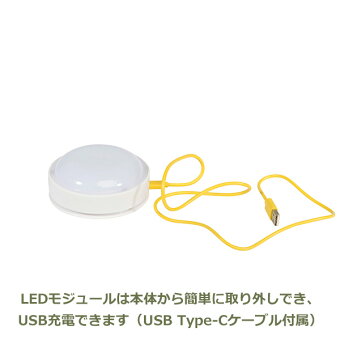 100�ߥ����ݥ��оݿ��о�ߥåե����ܥꥹ���ʥåե����ե������ȥ饤��USB���ż�LED����1ǯ�ݾڥ���ƥꥢ���å��ץ쥼��ȥ��եȽл��ˤ��������MM-007