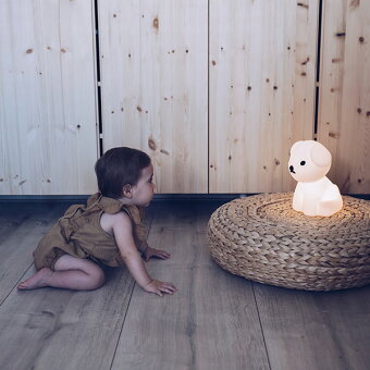 100�ߥ����ݥ��оݿ��о�ߥåե����ܥꥹ���ʥåե����ե������ȥ饤��USB���ż�LED����1ǯ�ݾڥ���ƥꥢ���å��ץ쥼��ȥ��եȽл��ˤ��������MM-007