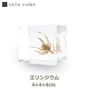 ő1000~OFFN[|&100%|CgobN ETMmlhR AN  W{ GWE NA  lp GW[ GME A  \  L[u sola cube CeA  