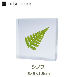 ő100%|CgobNI ETMmlhR W{ A \ ^C L[u L[u Vmu VR R {^jJ A[g CeA AN    gLVmu 