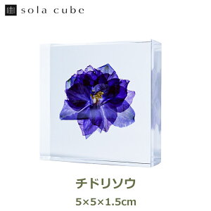ő100%|CgobNI ETMmlhR W{ A \ ^C L[u L[u `h\E 璹   VR R {^jJ A[g CeA AN   { 