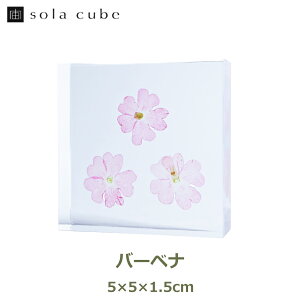 ő1000~OFFN[|&100%|CgobN ETMmlhR W{ A \ ^C L[u L[u o[xi @?xi rWUN  VR R {^jJ A[g CeA AN 