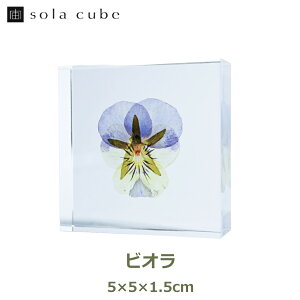 ő1000~OFFN[|&100%|CgobN ETMmlhR W{ A \ ^C L[u L[u rI  X~ pW[  VR R {^jJ A[g CeA AN  