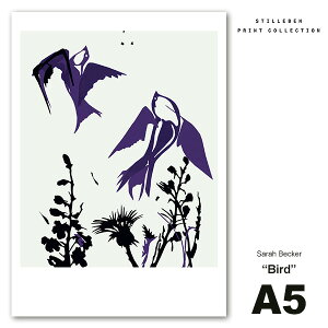 ő100%|CgobNI |X^[ A[g|X^[  k A5 Bird  [֑Ή fUC CeA f}[N G ۉ TCY 148×210mm Sarah Becker STILLEBEN XeB