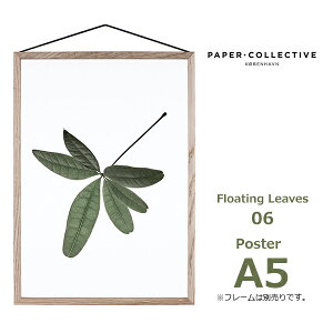 �G���g���[�Ń|�C���g5�{ �|�X�^�[ �A�[�g�|�X�^�[ ������� �k�� �k���|�X�^�[ �y�[�p�[�R���N�e�B�u Floating Leaves 06 A5 �N���A ���[���� �Ή� Paper Collective 8128 ���� �t �������� �t���� �t�B