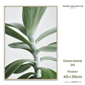 �G���g���[�Ń|�C���g5�{ �|�X�^�[ �A�[�g�|�X�^�[ ������� �k�� �k���|�X�^�[ Green home 04 30x40cm �y�[�p�[�R���N�e�B�u 09109 �C���e���A �A�[�g �A�� �f�U�C�� ���R �t �O���[�� �������� Paper