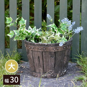 150~ItN[|y撅pzFRPo^v^[ ia30cmj EBP-30DBR 30 s30 22 cm AeB[N v^[ ^ ~` M^ Aؔ 10 v^[Jo[ K[f 