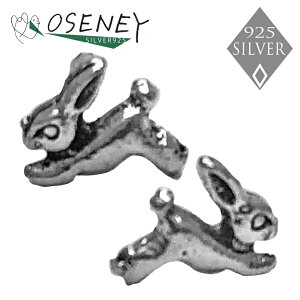 sAX  ETM ~j Vo[925 ANZT[ 