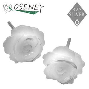 sAX fB[X@Y Vo[925  VF L KN o ΂