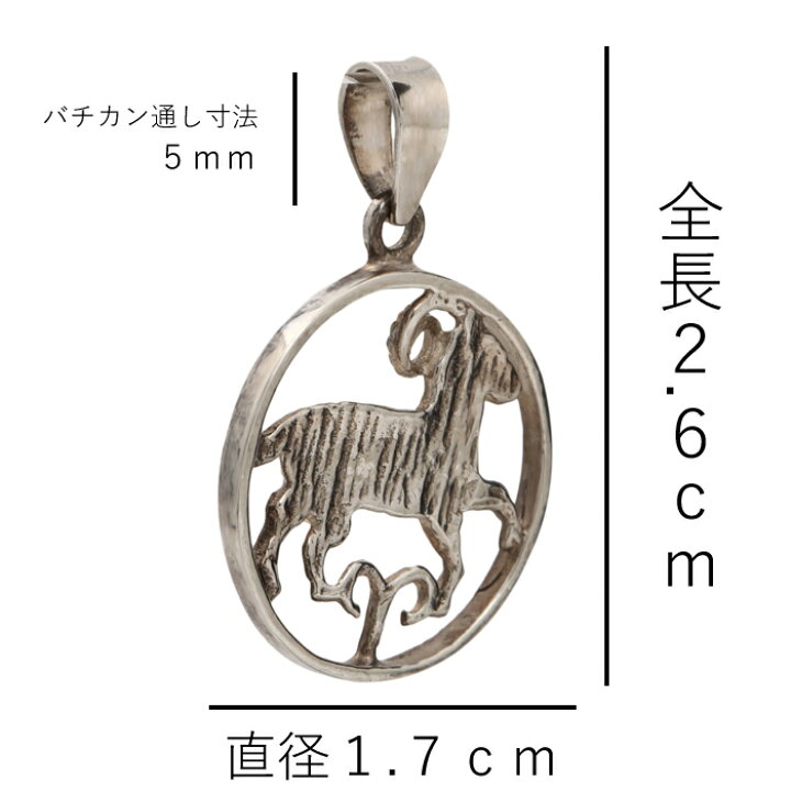 楽天市場】星座 ペンダント シルバー925 牡羊座 牡牛座 双子座 蟹座 