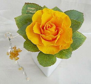 p[Xg[bZ[W[Y11̃[̃IW̃ovU[uht[[PW]