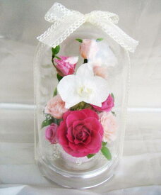 豪華！優しさ可愛さたっぷりのピンクのバラと凛とした胡蝶蘭 蓋をあけて飾っても素敵な香り付のドームアレンジです♪ プリザーブドフラワー [PW]