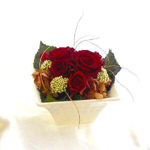 ̃AW-Ԃo vU[uht[[PW]